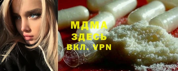 spice Бородино