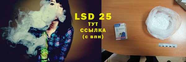spice Бородино