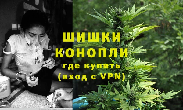 spice Бородино