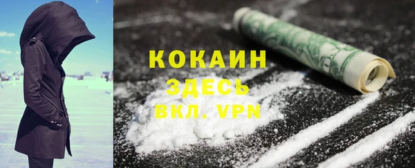 spice Бородино