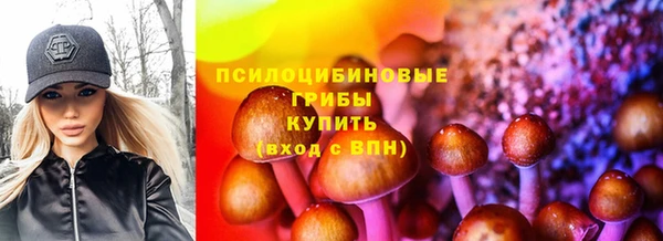 круглые Богородицк